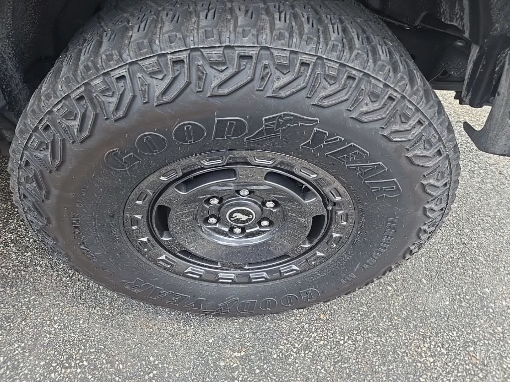 2024 Ford Bronco Everglades