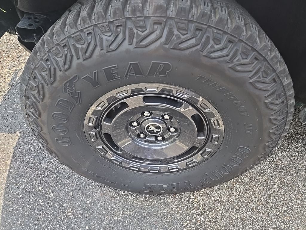 2024 Ford Bronco Everglades