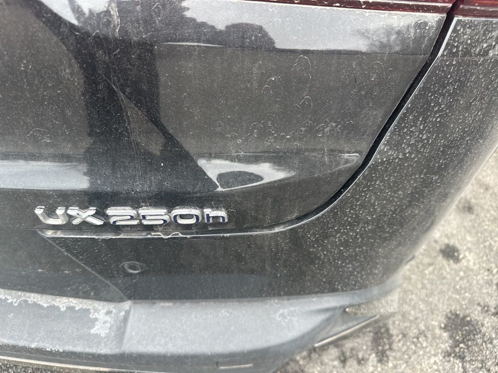 2022 Lexus UX 250h 250h F SPORT