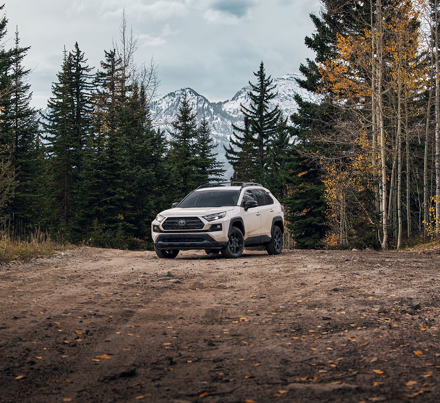 Jim Shorkey Toyota in Pittsburgh PA